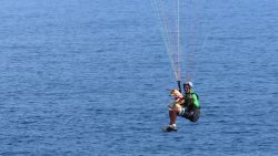 instrutor-de-voo-livre-salta-de-parapente-com-vira-lata-para-chamar-a-atencao-sobre-animais-abandonados